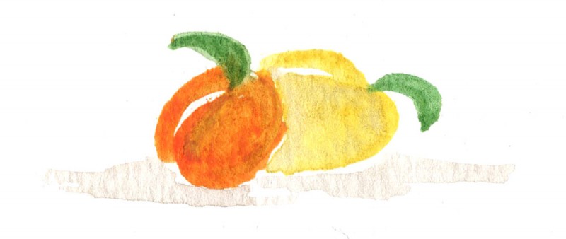 A watercolour painting of apricots