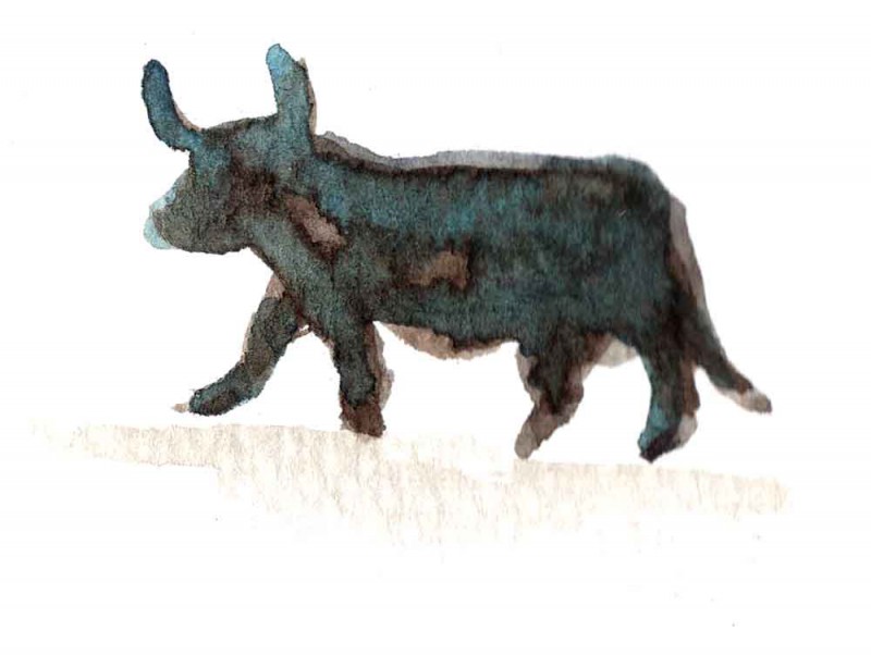 A watercolour painting of a black bull