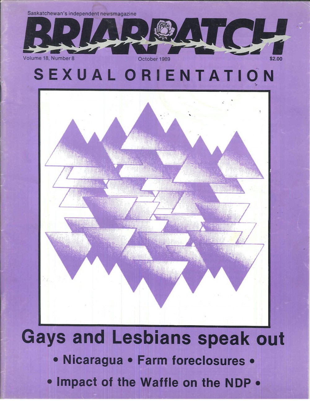 A scan of the cover of the October 1989 issue of Briarpatch. Around an illustration of many purple triangles overlapping, the words