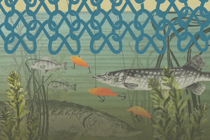 A digital collage showing an underwater ecosystem. Fish swim near fish-shared lures with Google logos for eyes. At the top, a dragnet made of interlocking Meta logos looms over the fish.