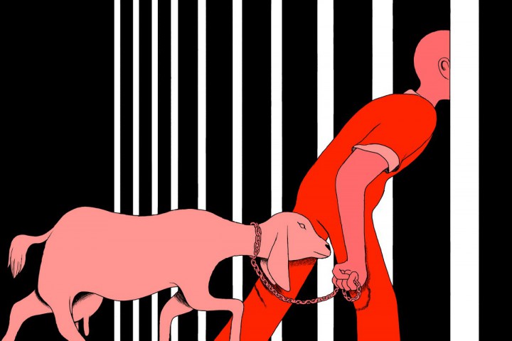 A person in an orange jumpsuit leads a goat, attached by a chain around its neck, through the bars of a prison cell.
