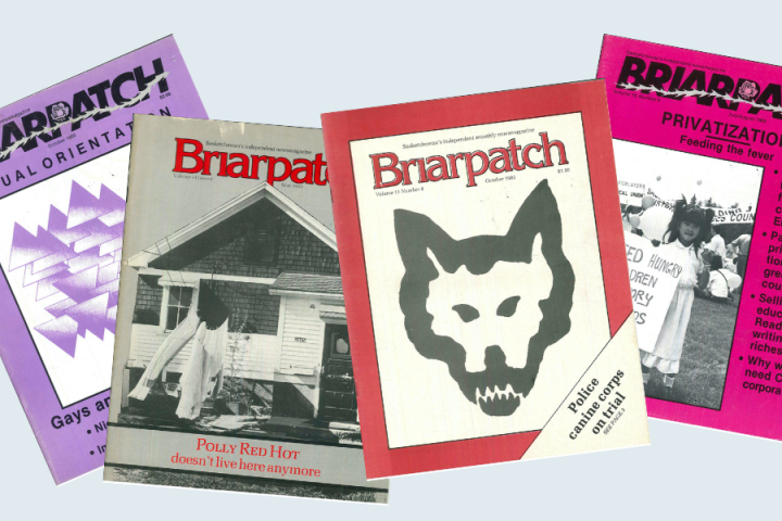 The covers of four archival issues of Briarpatch, against a light blue background