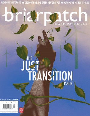Briarpatch issue cover