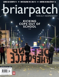 Briarpatch issue covers