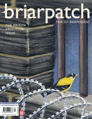 Briarpatch issue cover